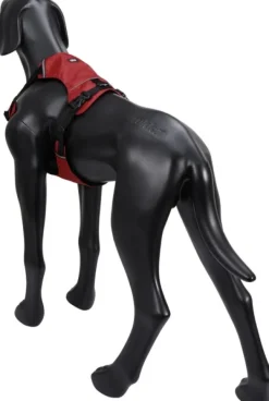 Hike Harness Red M-Rukka Hot