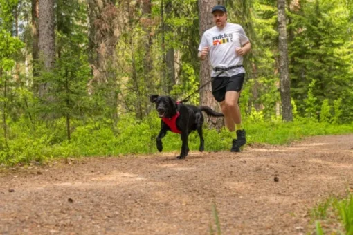 Hike Harness Red M-Rukka Hot