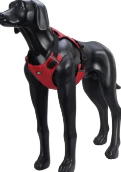 Rukka Hike Harness Red XS Hot