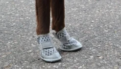 Summer Shoes 2 pcs Gray size 3-4-Rukka Hot