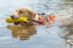 Rukka Training Dummy Yellow S Best