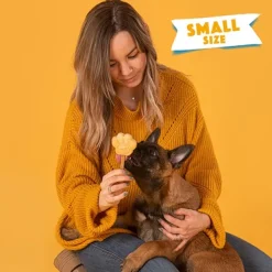 Dog Ice Form muotit koiran jäätelölle, S-Smoofl New