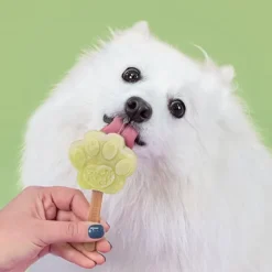 Dog Ice Form muotit koiran jäätelölle, S-Smoofl New