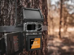 Spypoint Lithium Battery Pack and Charger LIT-10 riistakameran akku ja laturi Sale