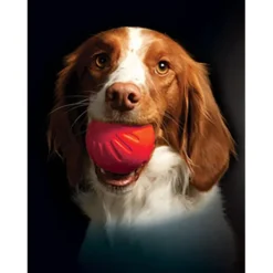 Starmark Foam Ball Bacon 9 cm Outlet