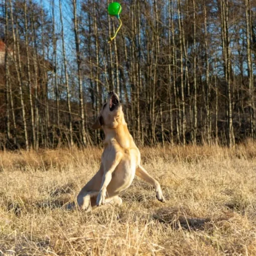 Funball med Rep Grön L-Starmark Clearance