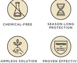 Active Green-Tickless Fashion
