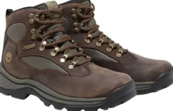 Womens Chocorua Mid Lace Up GTX Hiking Boot Dark Brown-Timberland New