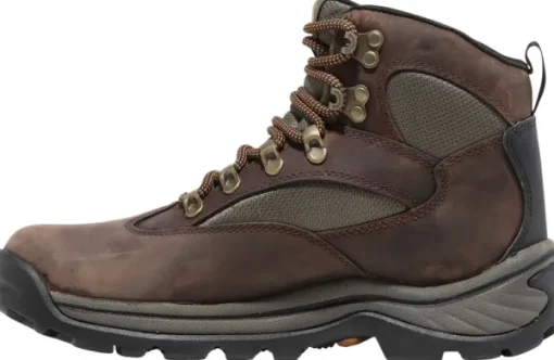 Womens Chocorua Mid Lace Up GTX Hiking Boot Dark Brown-Timberland New