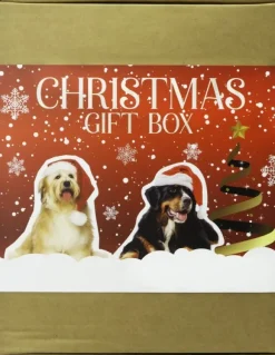 XMAS Box koirien jouluboxi-Treateaters Hot
