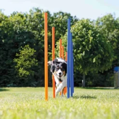 Agility harjoituskepit 115cm, 12 kpl-Trixie Online