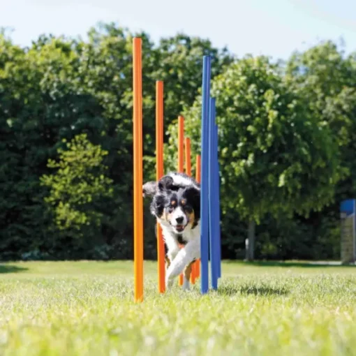Agility harjoituskepit 115cm, 12 kpl-Trixie Online