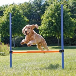 Trixie Agility -hyppyeste Clearance