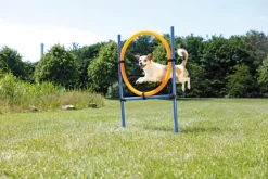 Trixie Agility Hyppyrengas 78 x 65 x 115 cm Online