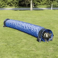 Agility -putki, 5 m-Trixie Discount
