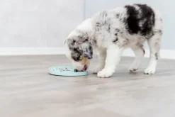 aktivointilelu, 15 cm-Trixie Best