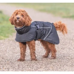 Trixie Brizon Winter Coat koiran talvitakki, 62 cm, Black Clearance