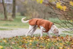 Trixie Citystyle Dublin Rain Coat koiran sadetakki, 33-36 cm, Rust Outlet