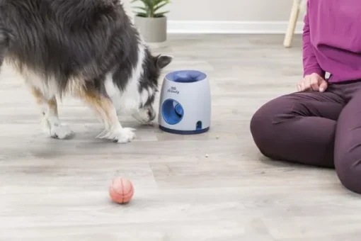 Trixie Dog Activity Ball & Treat aktivointilelu, taso 3 Sale