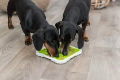 Lick'N'Snack Lautanen-Trixie Sale