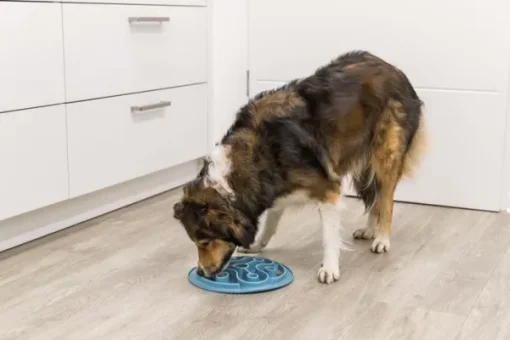 Slow Feed ruokamatto TPE Ø 28 cm-Trixie Hot