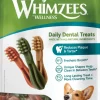 Toothbrush Star S hammashoitoherkku, 24 kpl-Whimzees Sale