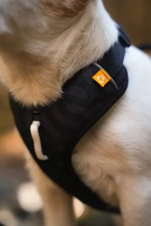 Woolly Wolf Roam Harness koirien valjaat, L, musta Discount