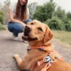 Woolly Wolf Rope Leash köysihihna, 10 mm, vaaleanminttu Discount